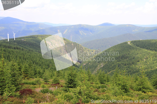 Image of czech forest country (Jeseniky mountains)