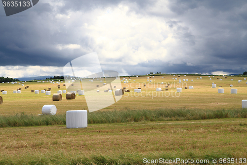 Image of czech country with straw bales