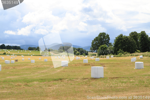 Image of czech country with straw bales