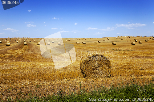 Image of straw stack . harvesting