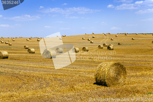 Image of straw stack . harvesting