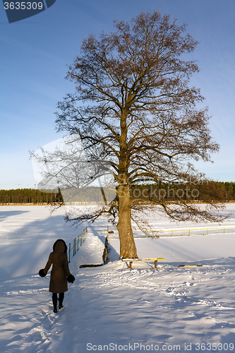 Image of The girl on the lake in winter  