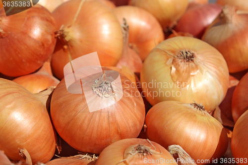 Image of Pile of onions