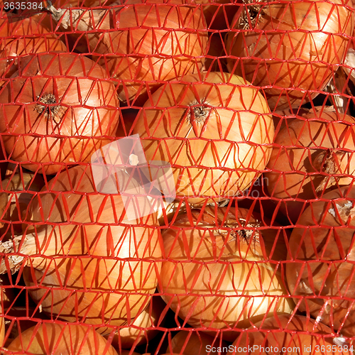 Image of Onions in orange mesh