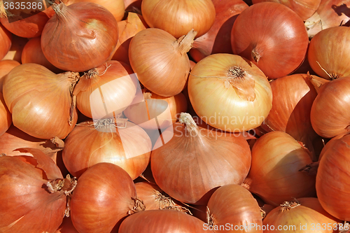 Image of Big pile of onions
