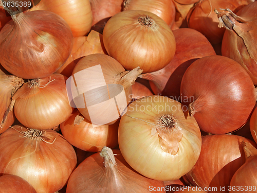Image of Heap of onions