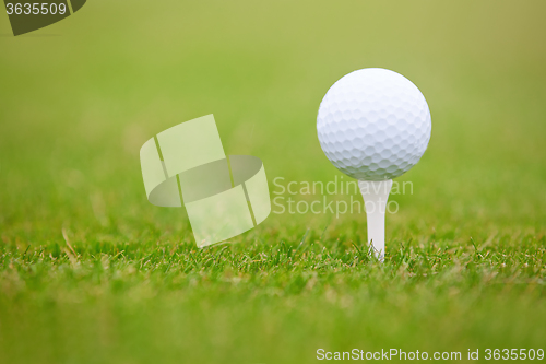 Image of Golf ball