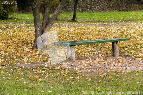 Image of wooden bench in the park  