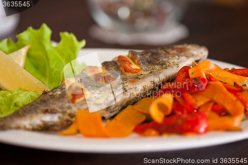 Image of rainbow trout fish
