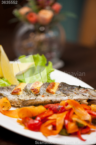 Image of rainbow trout fish