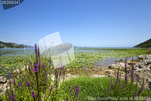 Image of the lake . Montenegro 