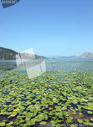 Image of the lake. Montenegro