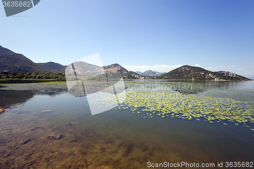 Image of the lake . summertime of year