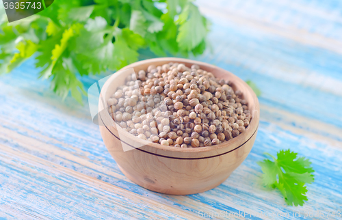 Image of coriander