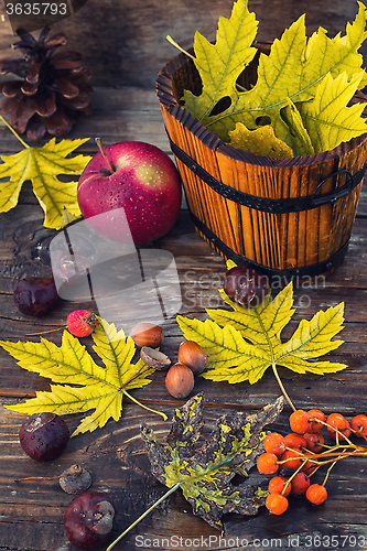 Image of still-life autumn leaves