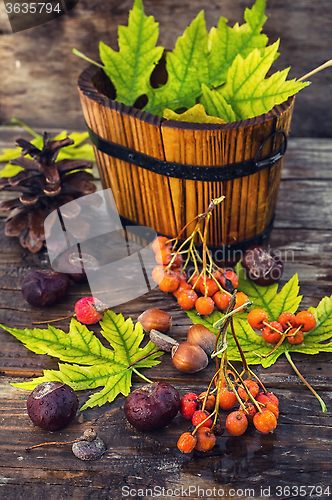 Image of still-life autumn leaves