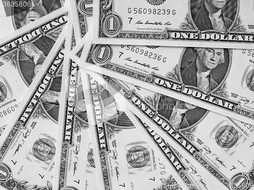 Image of Black and white Dollar notes 1 Dollar