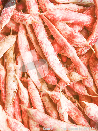 Image of Retro looking Cranberry beans