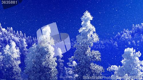 Image of Christmac forest in mountains