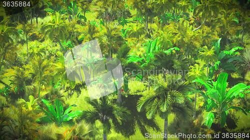 Image of Lush vegetation in jungle