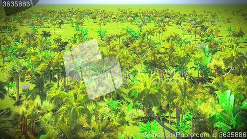 Image of Lush vegetation in jungle