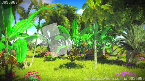 Image of Lush vegetation in jungle