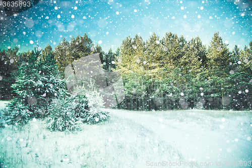 Image of Winter landscape