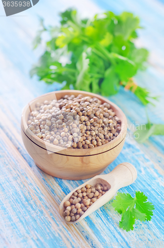 Image of coriander