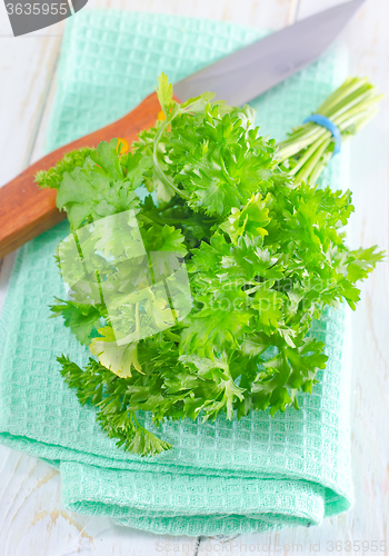 Image of parsley