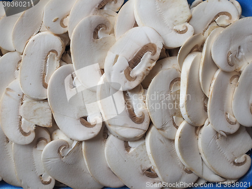Image of Champignon mushrooms background