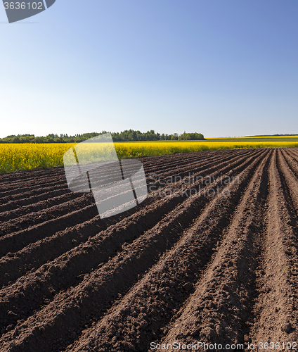 Image of plowed field . Blue sky.