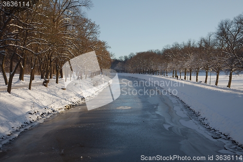 Image of Winter Park with trees