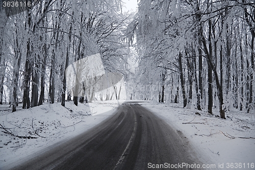 Image of Winter Road Turns