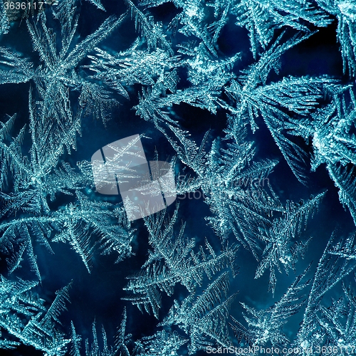 Image of Frosty