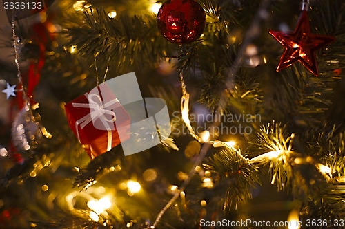 Image of Christmas Tree