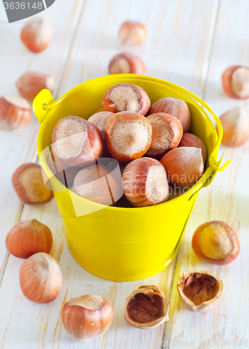 Image of hazelnuts