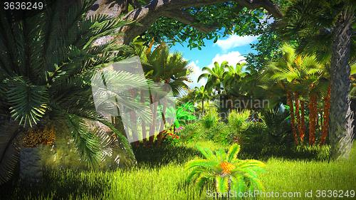 Image of Lush vegetation in jungle