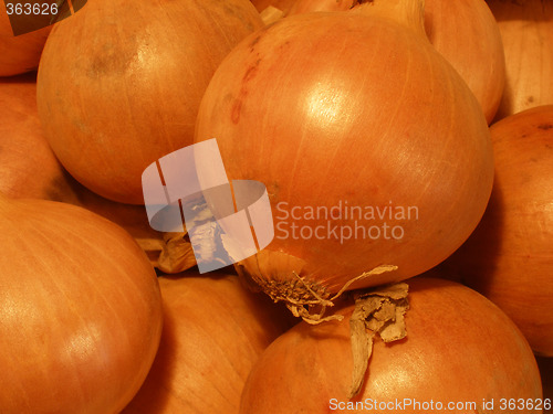 Image of onions