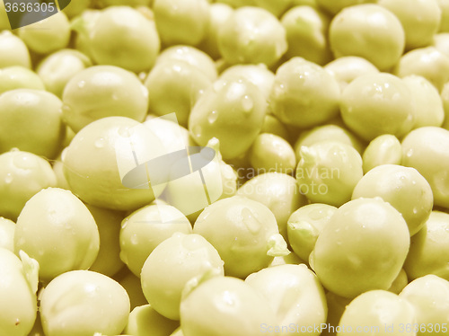 Image of Retro looking Peas picture