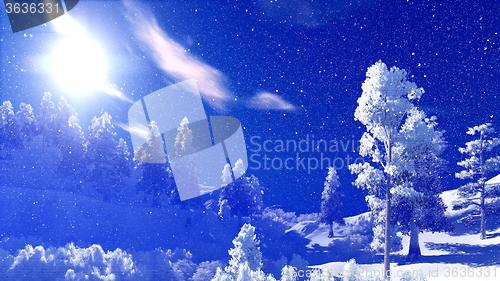 Image of Christmac forest in mountains