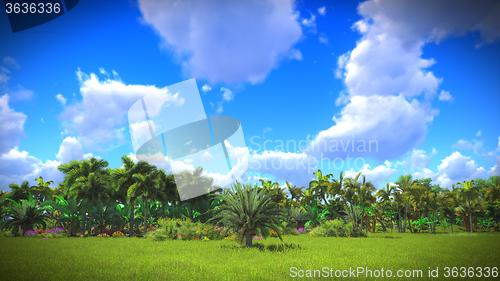 Image of Lush vegetation in jungle