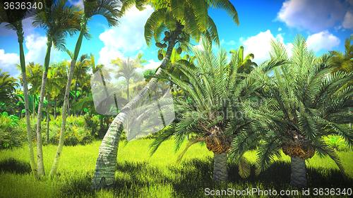 Image of Lush vegetation in jungle