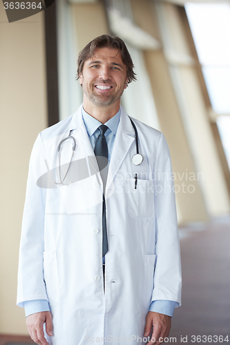 Image of portrait of handsome doctor