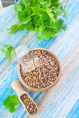 Image of coriander