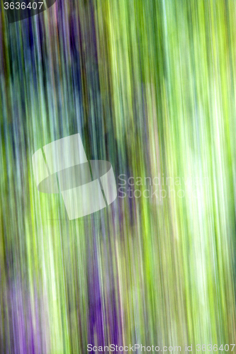 Image of   nature background  line