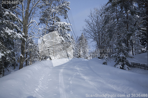 Image of winter road