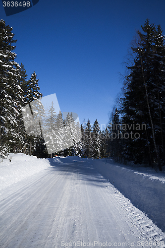 Image of winter road