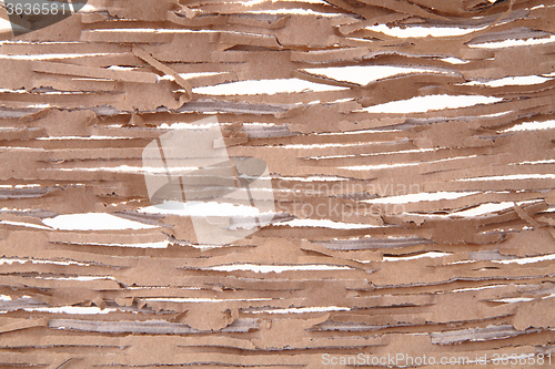 Image of brown paper background