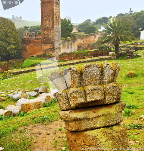 Image of chellah  in morocco africa the old roman deteriorated monument a