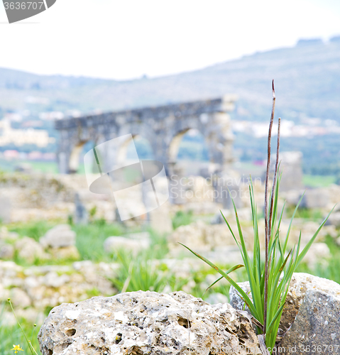 Image of volubilis in morocco africa the old roman deteriorated monument 